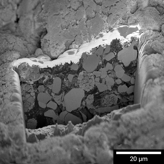 FIB-präparierter Querschnitt der Kathode einer Lithium-Ionen-Batterie