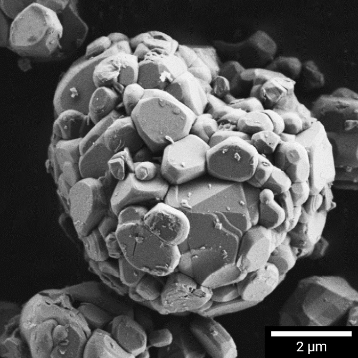 Hochauflösendes SEM von LiCoO2 für Kathoden von Lithium-Ionen-Batterien