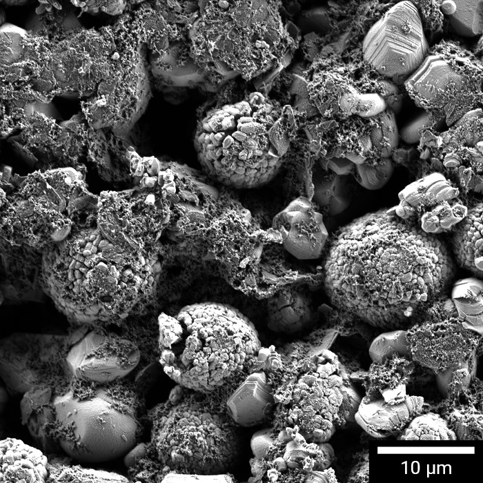 SEM einer Lithium-Ionen-Kathode mit Partikeln und Bindemittel