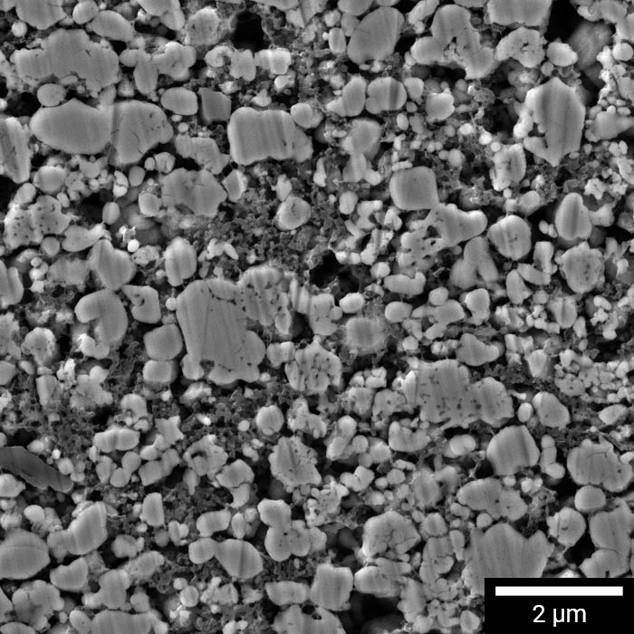 Detaillierter SEM-Querschnitt der LFP-Kathode