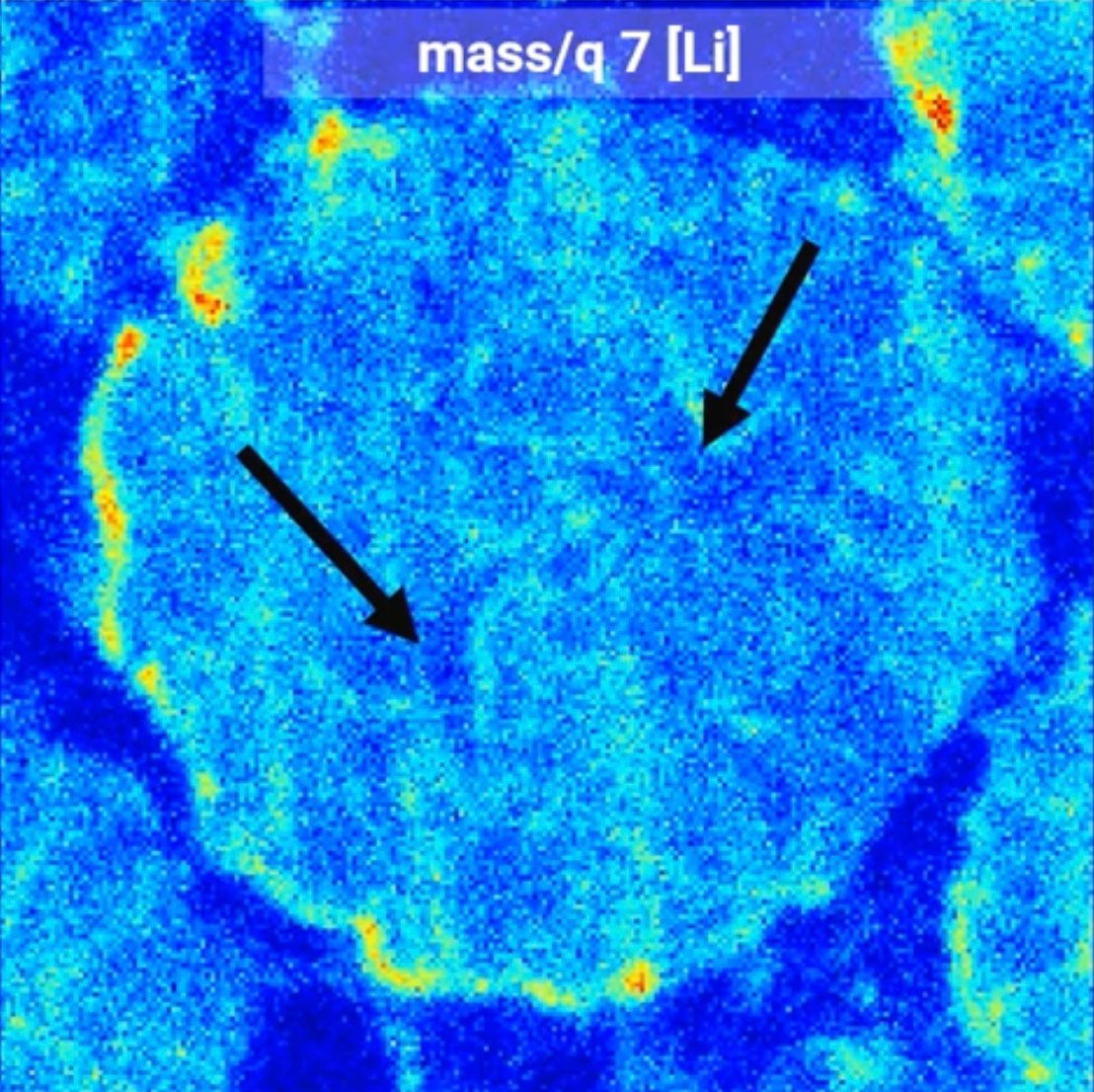 Webinar: Erforschung des Verhaltens von Li-Ionen-Batterien mit FIB-SEM integriert mit Raman und TOF-SIMS